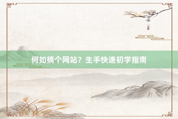 何如搞个网站？生手快速初学指南